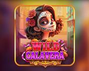 Wild Calavera